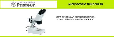 Lupas estereoscópicas
