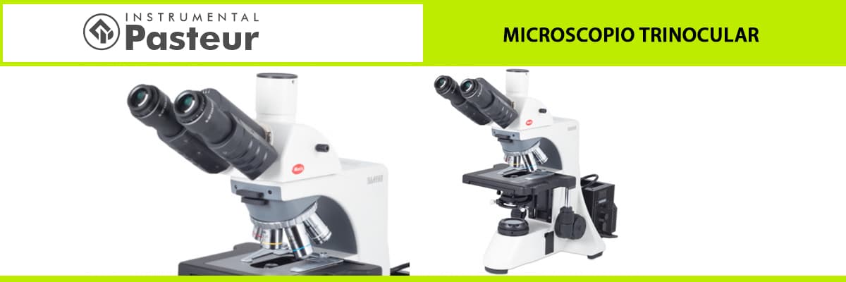 Microscopio trinocular
