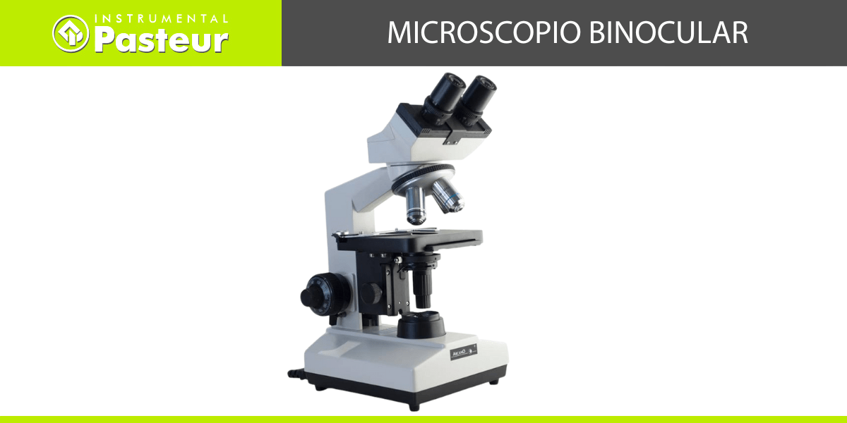 Microscopio binocular