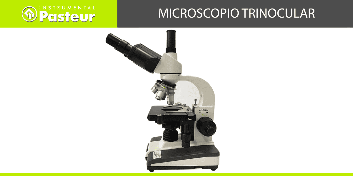 Microscopio trinocular