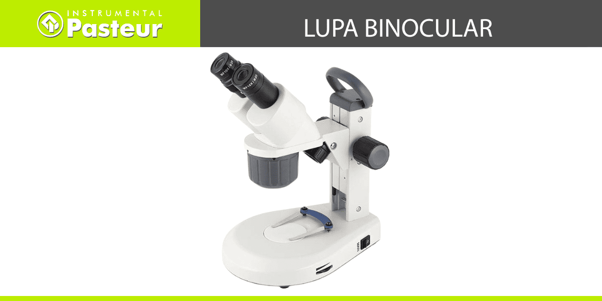 Lupa Binocular