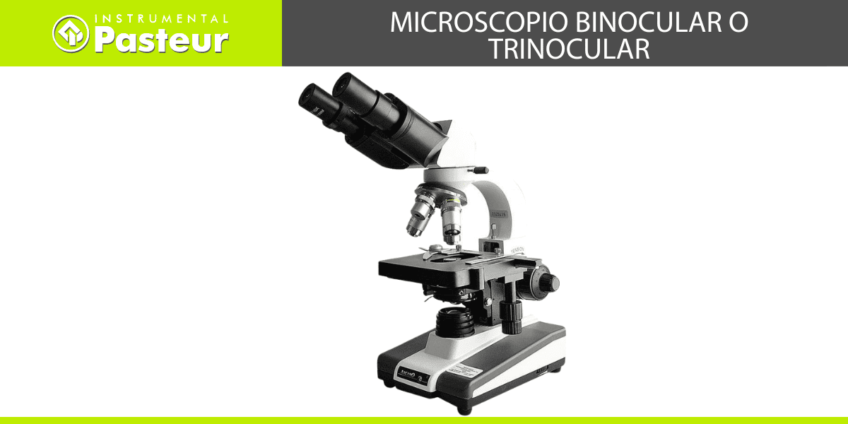 Microscopio Binocular o Trinocular