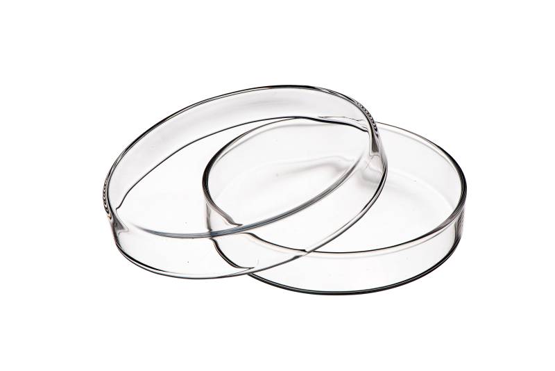 Caja De Petri Vidrio Boro 3.3 60mm