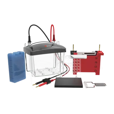 Cuba de transferencia Vertical DL-ZY03 Western Blot