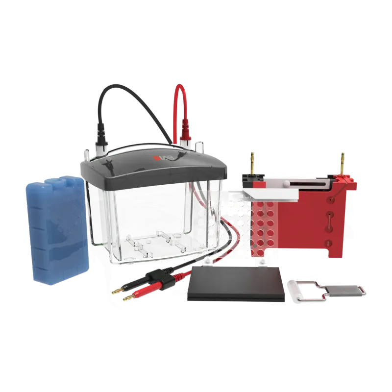 Cuba de transferencia Vertical DL-ZY03 Western Blot