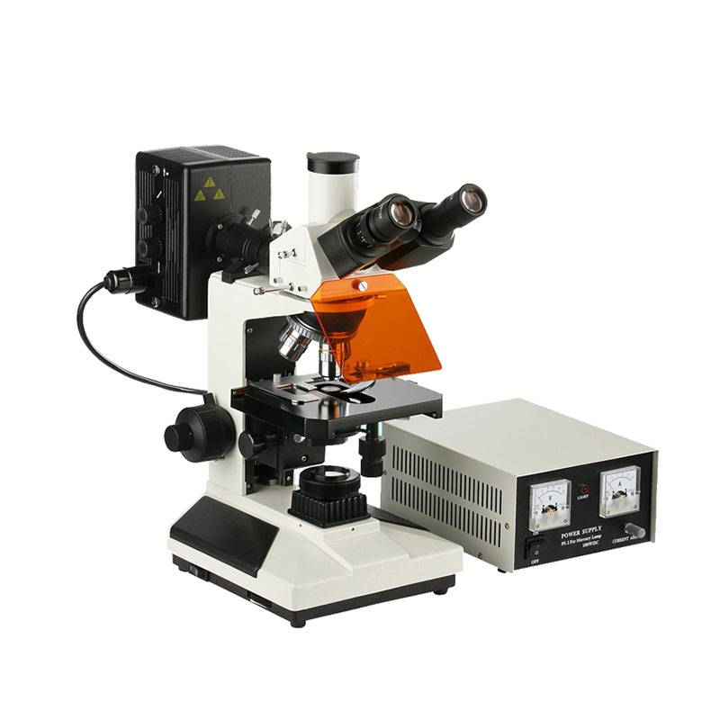 Microscopio Trinocular Epifluorescencia L-2001B-YL, Óptica Plana, 5 Objetivos, Revólver Invertido, Lámpara Epi HBO, Koehler Halógena
