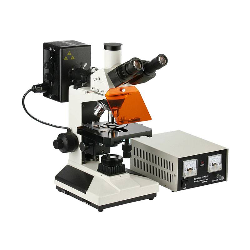 Microscopio Trinocular Epifluorescencia XSZ-107BNT-YX, Óptica Acromatica, 4 Objetivos 1000x, Lámpara Epi HBO, LED 