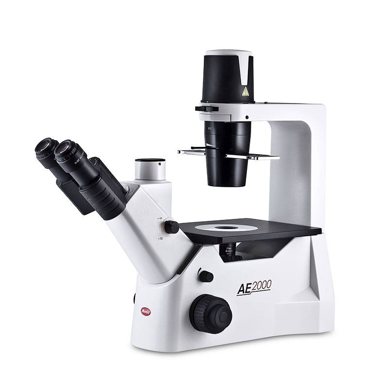 Microscopio Trinocular Biológico Invertido AE-2000, Óptica Plana Corregida a Infinito, Ph4x, Ph10 y Ph20X, Halógena 