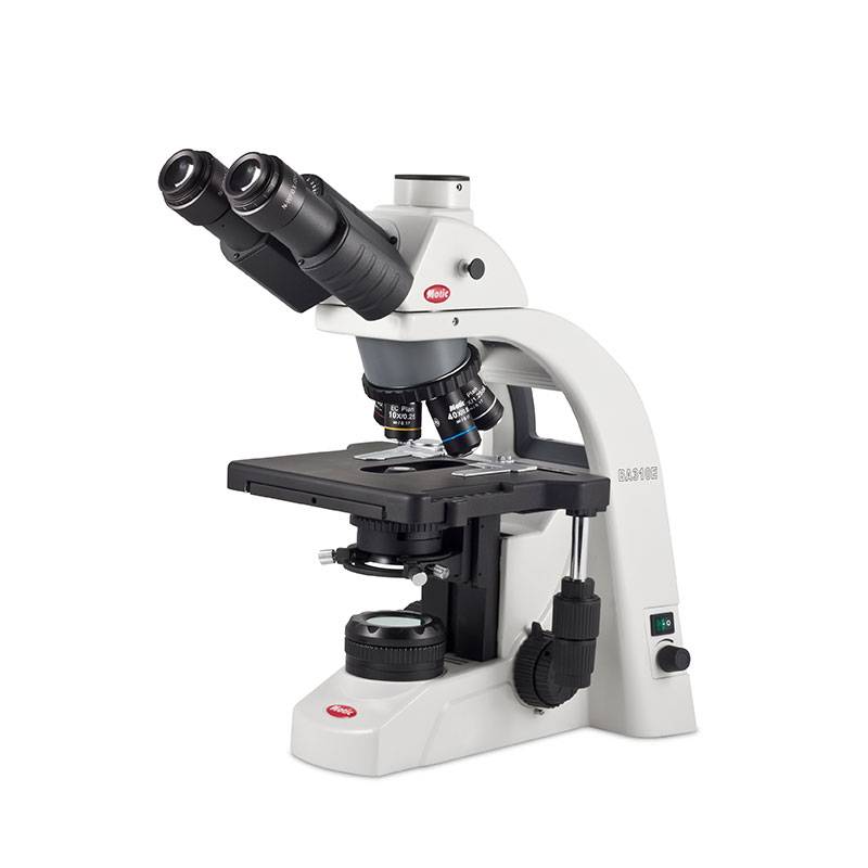 Microscopio Trinocular BA-310E, Óptica Plana Corregida a Infinito, 4 Objetivos 1000x, Platina sin Cremallera, KOEHLER LED 